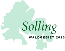 Der Solling: Waldgebiet des Jahres 2013